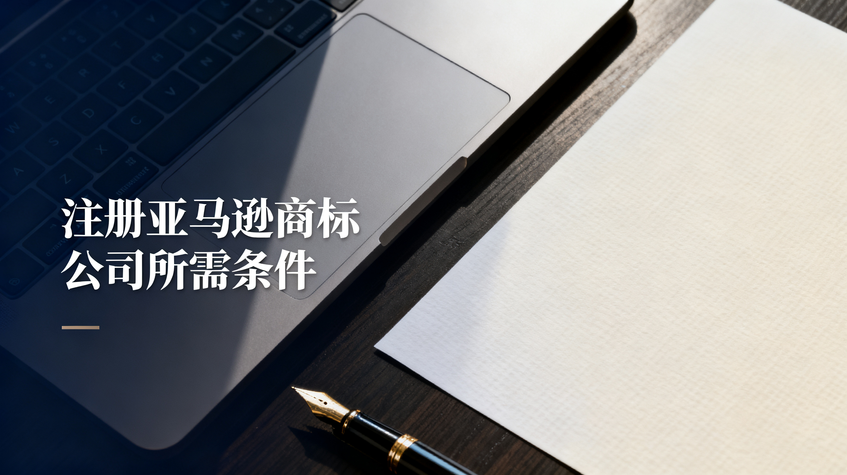 注册亚马逊商标公司所需条件