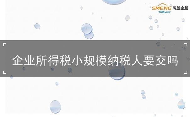 企业所得税小规模纳税人