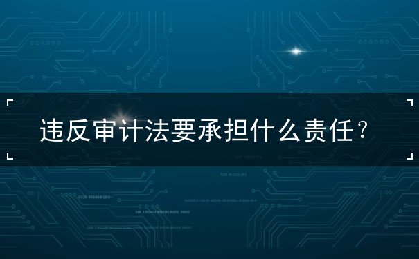 违反审计法承担什么责任