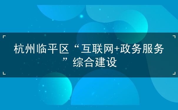 杭州临平区“互联网+政务服务”综合建设