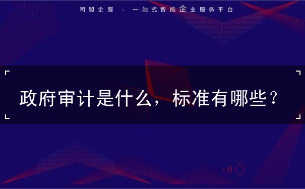 政府审计是什么,政府审计标准