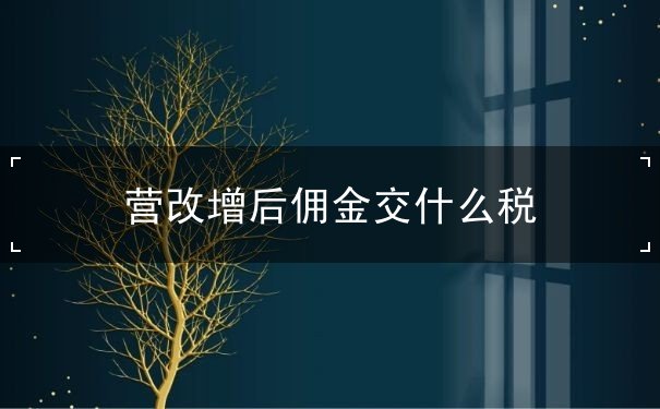 营改增后佣金交什么税,营业税时与增值税区别