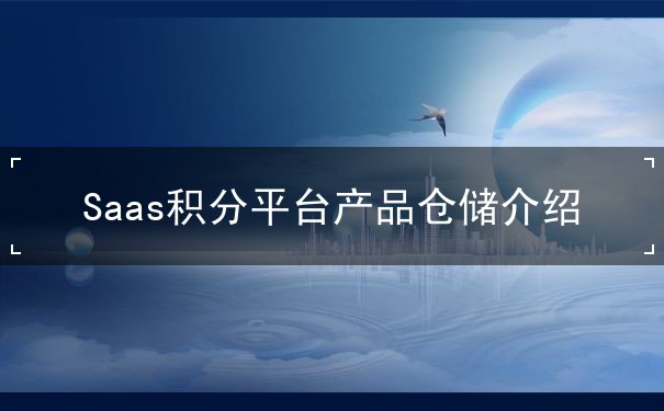 Saas积分平台产品仓储介绍