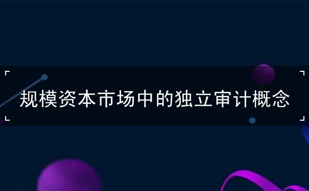 规模资本市场中的独立审计概念