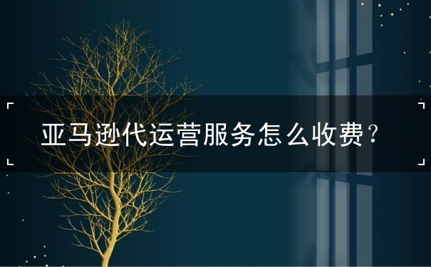 亚马逊代运营服务怎么收费？