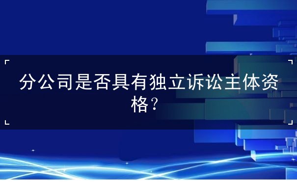 分公司是否具有独立诉讼主体资格？