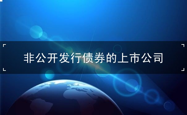 非公开发行债券的上市公司