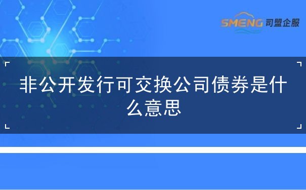 非公开发行可交换公司债券是什么意思