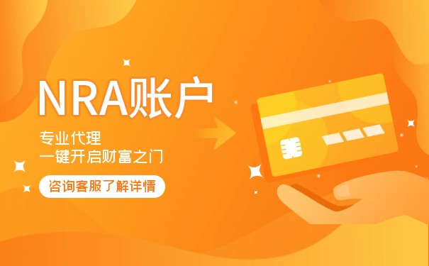 解释什么是ODI登记中的NRA账户