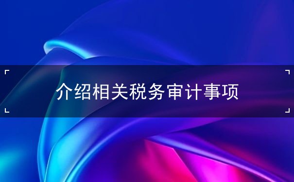 介绍相关税务审计事项