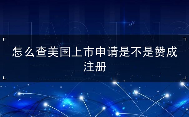 怎么查美国上市申请是不是赞成注册