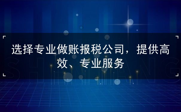 选择专业做账报税公司