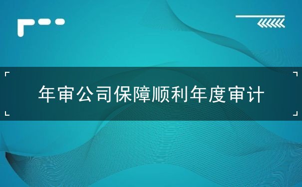 年审公司保障顺利年度审计