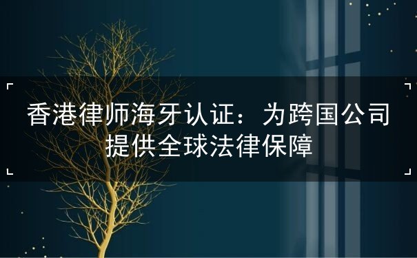 香港律师海牙认证：为跨国公司提供全球法律保障